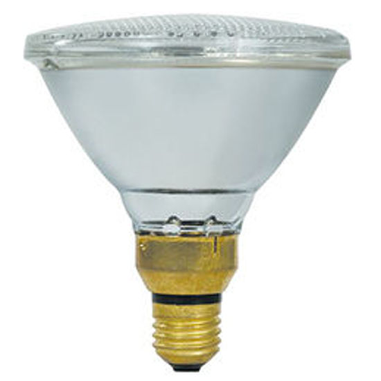 PAR 38 80W/120W Incandescent Reflector Lamps (Sold 10) Lighting Store Australia Lighting Pro