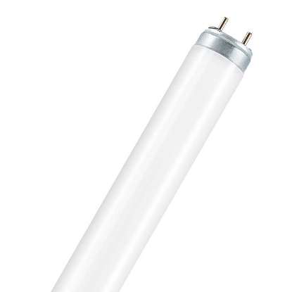 Picture of LEDVANCE LUMILUX T8 36W/3000K Fluorescent Lamp (Sold as 25)