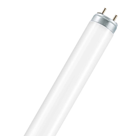 Picture of LEDVANCE LUMILUX T8 36W/3000K Fluorescent Lamp (Sold as 25)