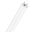 Picture of LEDVANCE LUMILUX T8 36W/4000K Fluorescent Lamp (Sold as 25)