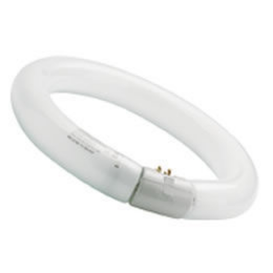 Picture of T9 32W Circular Fluorescent Tube | Cool Daylight Tri-Phosphor Ring Lamp (29mm) (10 Pack)