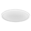 Picture of LEDVANCE LED Value Slim Tri Colour Oyster 32W IP54 Dimmable 540mm