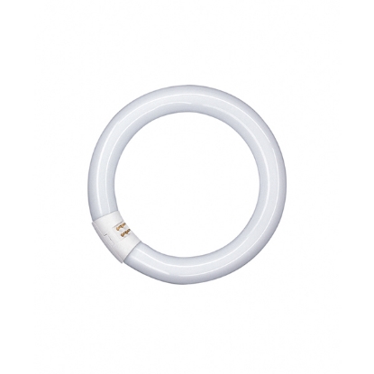 Picture of LEDVANCE Lumilux T9 32W 865 G10Q Circular Fluorescent Lamp (Sold as 12)