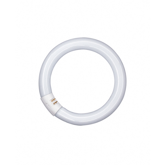 Picture of LEDVANCE Lumilux T9 32W 865 G10Q Circular Fluorescent Lamp (Sold as 12)