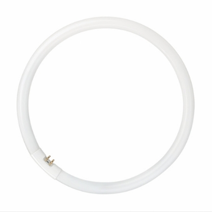 Picture of LEDVANCE T5 Circular Fluorescent Lamp 22W GZ10q Base (Sold as 12)