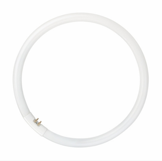 Picture of LEDVANCE T5 Circular Fluorescent Lamp 22W GZ10q Base (Sold as 12)