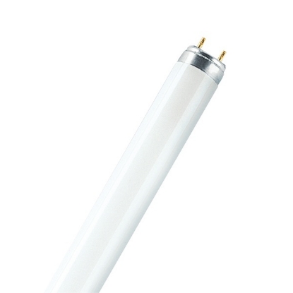 Picture of LEDVANCE LUMILUX T8 18W/6500K Fluorescent Lamp (Sold as 25)