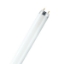 Picture of LEDVANCE LUMILUX T8 58W/6500K High Performance Fluorescent Tubes (Sold as 25)