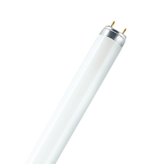 Picture of Osram (LEDVANCE) Lamp Fluoro T8 58W/76 Short (Sold as 10)